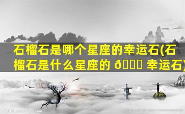石榴石是哪个星座的幸运石(石榴石是什么星座的 🐒 幸运石)